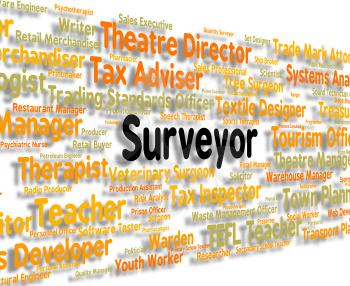 Surveyor Job Showing Assesser Employee And Career