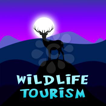 Wildlife Tourism Mountain Scene Shows Animal Tours 3d ILlustration