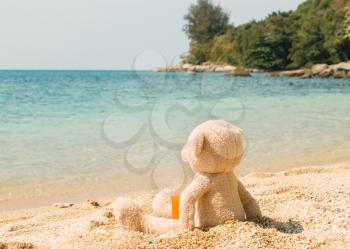 Teddy Bear Looking Out To Sea Drinking Juice