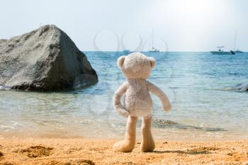 Teddy Bear On The Beach Looking At The Sea