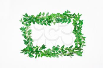 Frame of green leaves on a white background. View from above