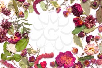 Frame of dried flowers, pink, red roses and green leaves on a white background. View  above, flat lay