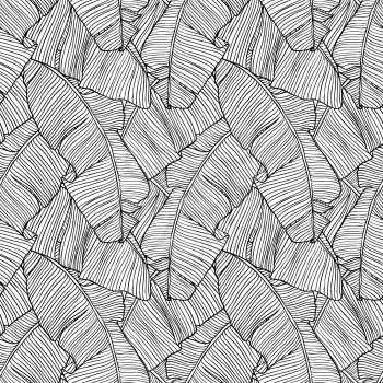 Seamless pattern with leaves of palm tree.