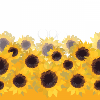 Sunflower flower abstract seamless background.