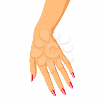 Illustration of woman hand. Elegant hand with manicure.