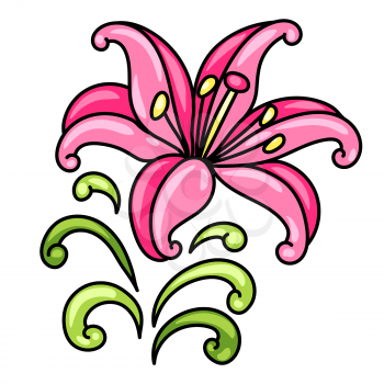 Illustration of decorative lily. Ornamental pink flower.