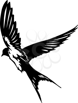 Swallow Clipart