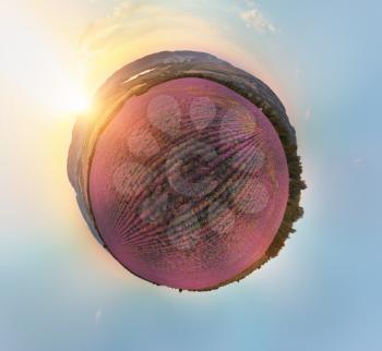 360 degree meadow of lavender panorama. Composition of nature.