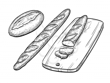 Baguette and rustic bread. Hand drawn vector illustration. Isolated on white background. Vintage style.