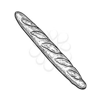 Baguette. Hand drawn vector illustration of bread. Isolated on white background. Vintage style.