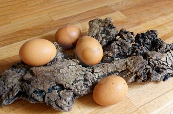 Easter brown eggs on wood driftwood. Abstract still life.