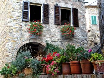 Home various flowers in pots. Design Italian courtyards around the house.
