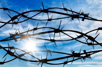 Concept of security. Silhouette of the barbed wire on the background of beautiful sunny sky