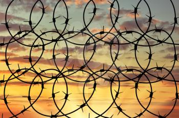 Concept of security. Silhouette of barbed wire against a beautiful sky