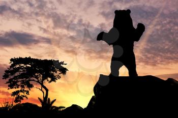 Silhouette bear on a hill at sunset