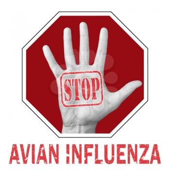 Stop avian influenza conceptual illustration. Open hand with the text stop avian influenza. Global problem