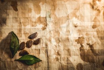 Background with old paper, seeds and leaves.