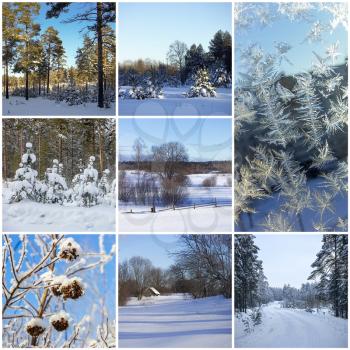 Beautiful winter collage of eight different photos.