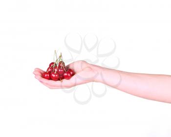 Cherries in a female hand on a white