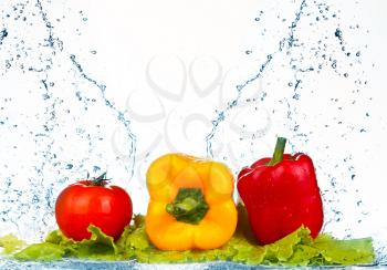 fresh water splash on red sweet pepper  on white background