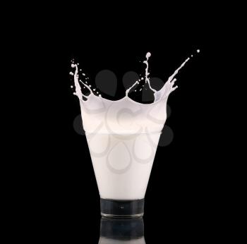 Splash in a glass with milk isolated on black
