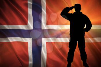 Flag with original proportions. Closeup of grunge flag of Norway