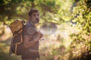 Young smiling backpack man in summer forest nature. Happy handsome male adult student looking at camera walking hiking in forest background. School bag or backpacking travel concept.