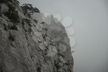 fog and cloud mountain valley landscape, Ukraine