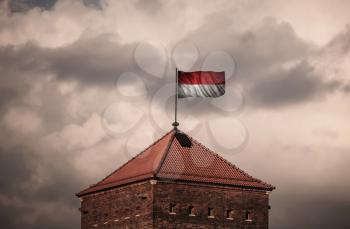 Flag with original proportions. Flag of the Indonesia