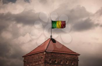 Flag with original proportions. Flag of the Mali
