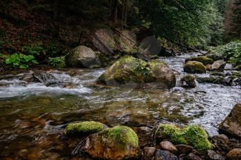Mountain stream in High Tatras National Park, Poland. fast river flows in a coniferous forest among mossy stones.