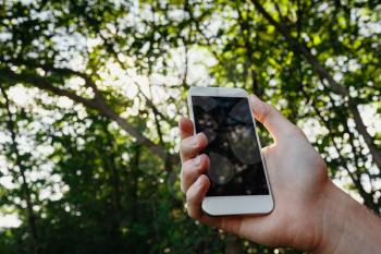 male hand hold white smart phone, cell phone, mobile over blurred image of green forest background.