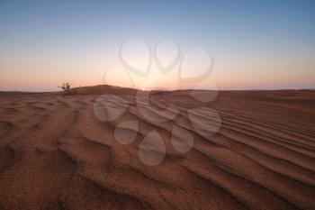 Sunset over the sand dunes in the desert. The ghost town of Al-Madam is about 60 km from Dubai City. united arab emirates. The concept of global warming