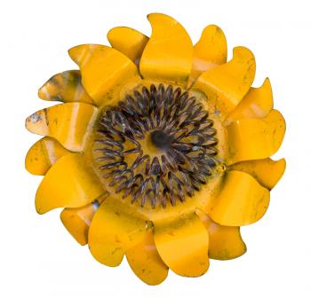 Close up of the single blossom of a sunflower created in metalwork and isolated against white background