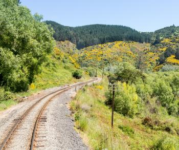 Railway track of Taieri Gorge tourist railway curves through the forest on its journey up the valley