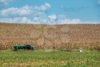 Abandoned green tractor by the edge of growing field of corn or wheat with interesting layered pattern
