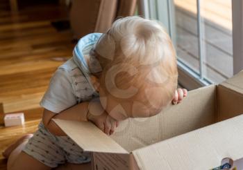 Young caucasian toddler looking and reaching inside a cardboard box with a serious expression