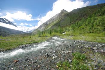 The mountain river in the mountains. Current through the gorge the river. Stones and rocky land near the river. Beautiful mountain landscape.