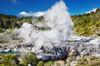 Pohutu Geyser, Whakarewarewa Thermal Valley, Rotorua, New Zealand