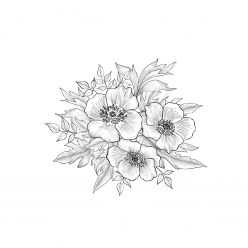 Flowers bouquet isolated. Floral greeting card background. Flowers and leaves retro engraving.