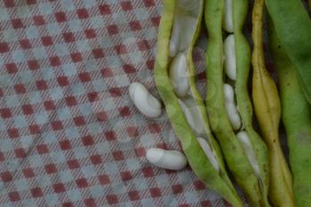 Beans. Phaseolus. Bean Seeds. Legumes. Kitchen. Recipes. Tablecloth. Delicious. It is useful. Close-up. Horizontal photo