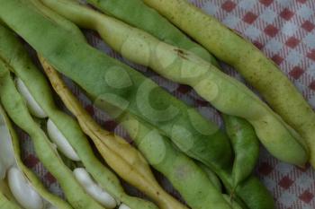 Beans. Phaseolus. Bean Seeds. Legumes. Kitchen. Tablecloth. Before cooking. Delicious. It is useful. Close-up. Horizontal photo