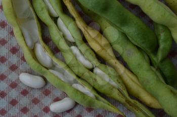 Beans. Phaseolus. Bean Seeds. Legumes. Recipes. Tablecloth. Before cooking. Delicious. It is useful. Close-up. Horizontal