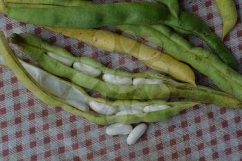 Beans. Phaseolus. Bean Seeds. Legumes. Kitchen. Recipes. Tablecloth. Before cooking. Delicious. It is useful. Close-up. Horizontal photo