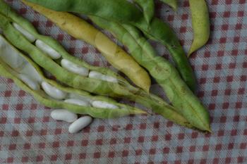 Beans. Phaseolus. Bean Seeds. Legumes. Kitchen. Recipes. Tablecloth. Before cooking. Delicious. It is useful. Horizontal photo