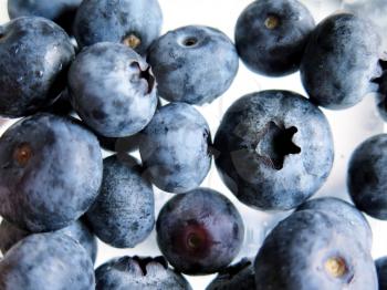 Fresh Ripe Blueberries, fruit background