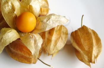 Aguaymanto, peruvian Juicy Cape Gooseberries