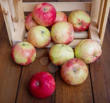 a ripe harvest of apples in a small wooden box on the background of dark boards