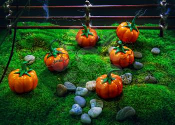 Halloween toy garden with small homemade pumpkins on artificial grass