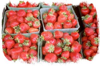 Royalty Free Photo of a Bunch of Baskets of Strawberries